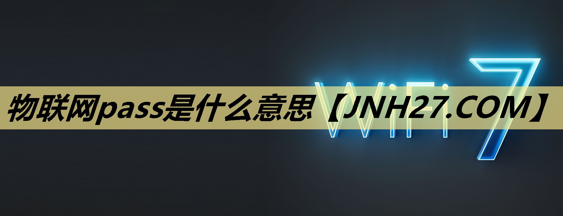 物联网pass是什么意思 物联网pass是什么意思